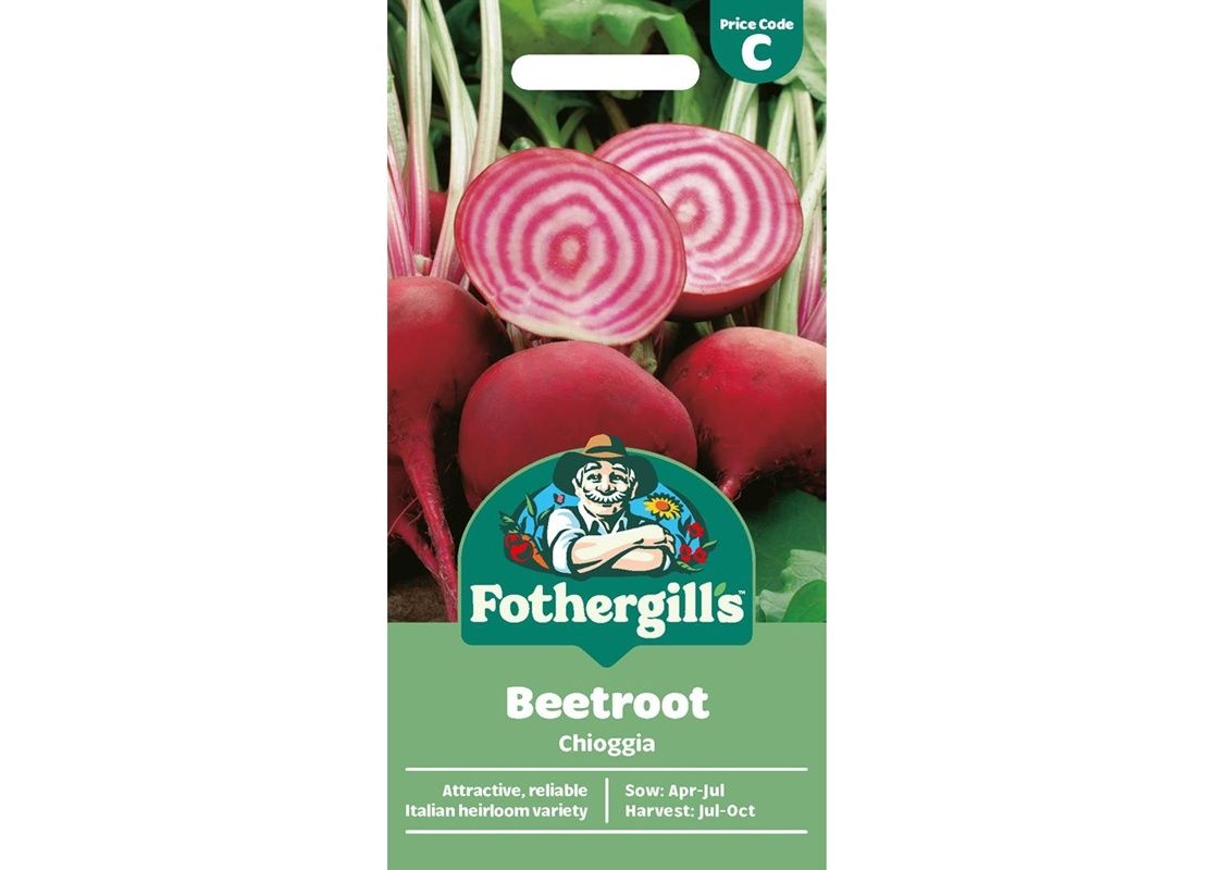 BEETROOT Chioggia