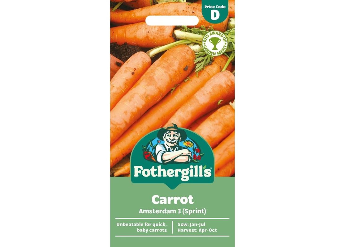 CARROT Amsterdam 3 (Sprint)