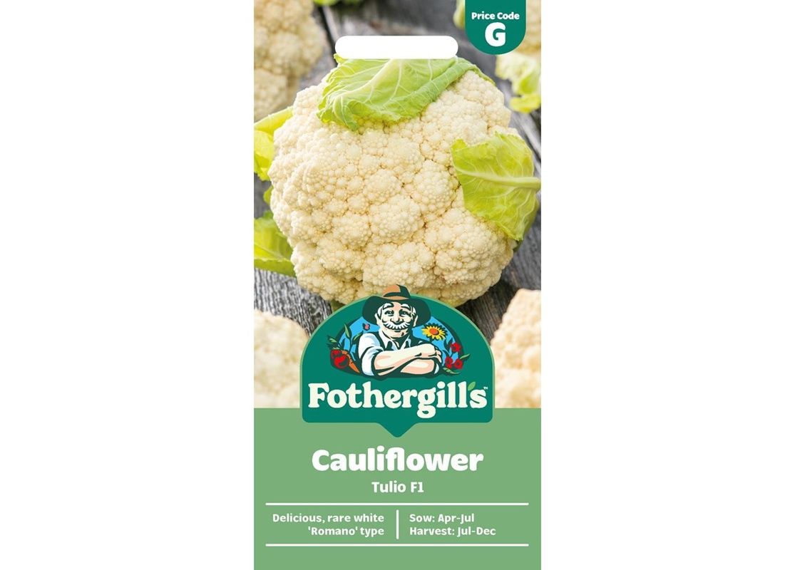 CAULIFLOWER Tulio F1