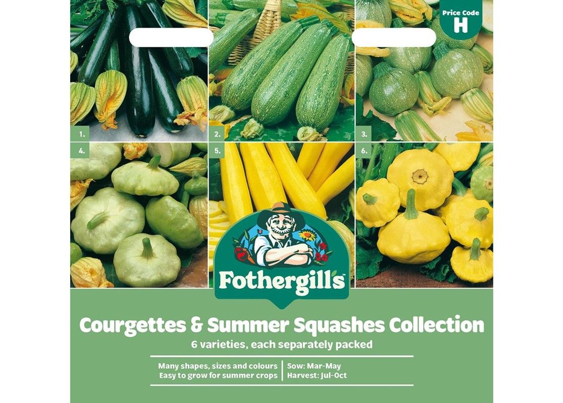 COURGETTES &amp; SUMMER SQUASHES COLLECTION