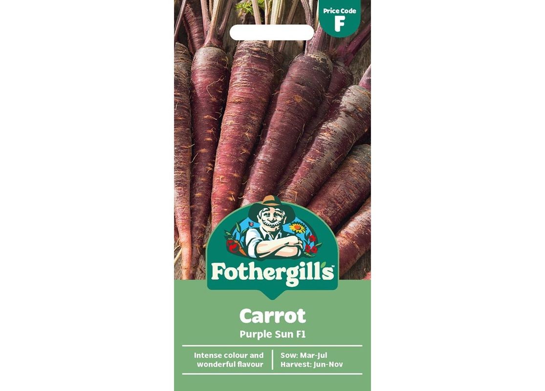 CARROT Purple Sun F1 CARROT Purple Sun F1