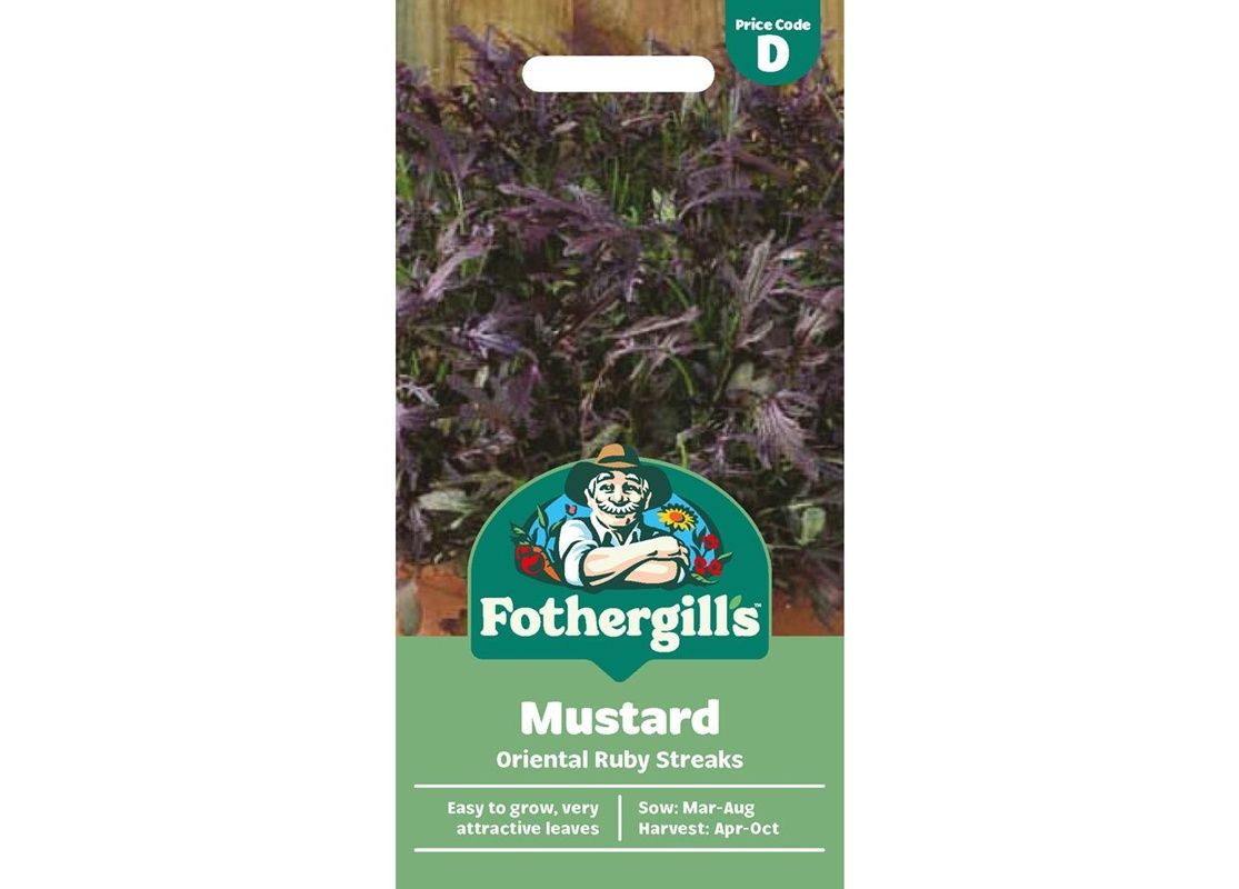 MUSTARD Oriental Ruby Streaks MUSTARD Oriental Ruby Streaks