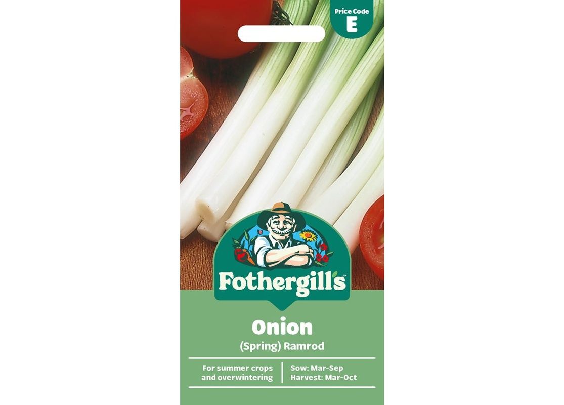 ONION (Spring) Ramrod ONION (Spring) Ramrod