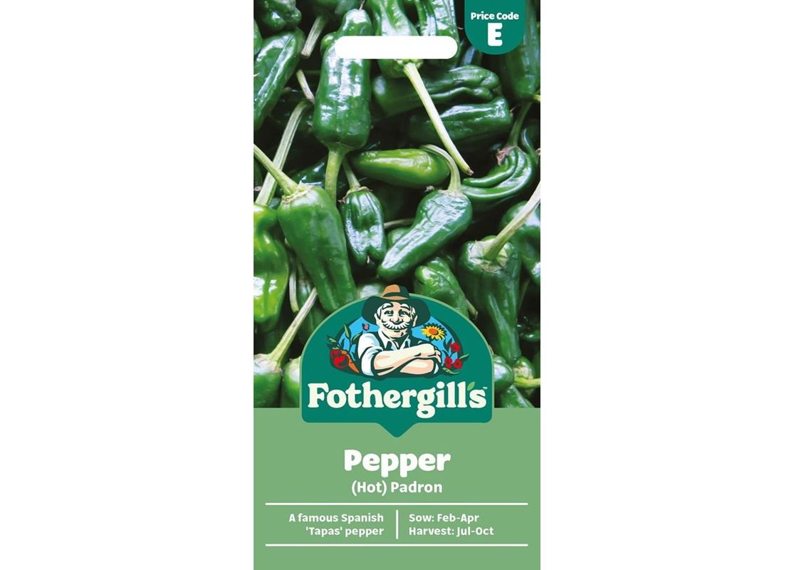 PEPPER (Hot) Padron