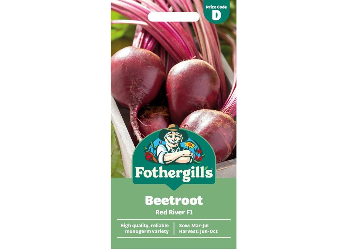 BEETROOT Red River F1