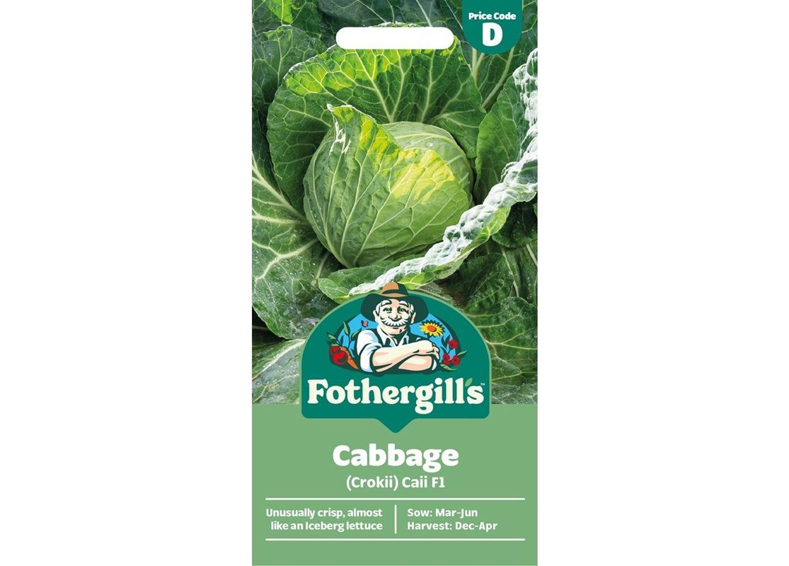 CABBAGE (Crokii) Caii F1
