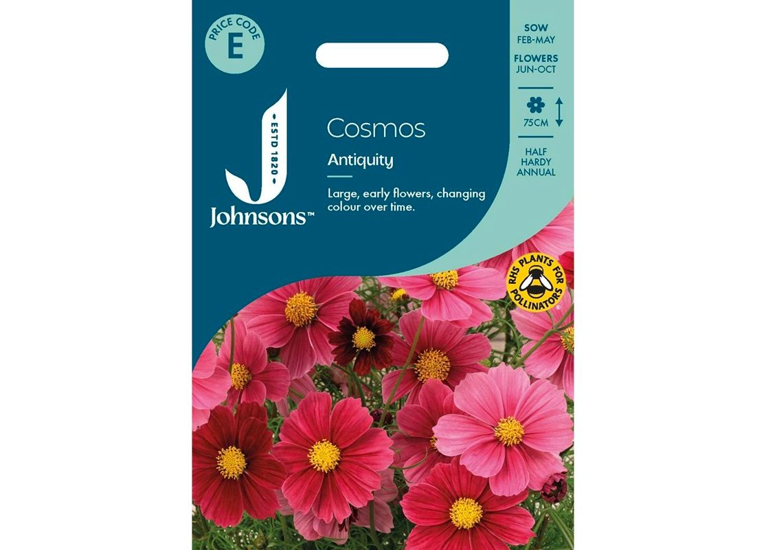 COSMOS Antiquity COSMOS Antiquity