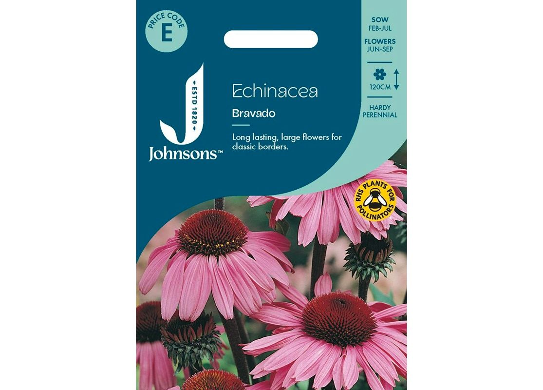 ECHINACEA Bravado