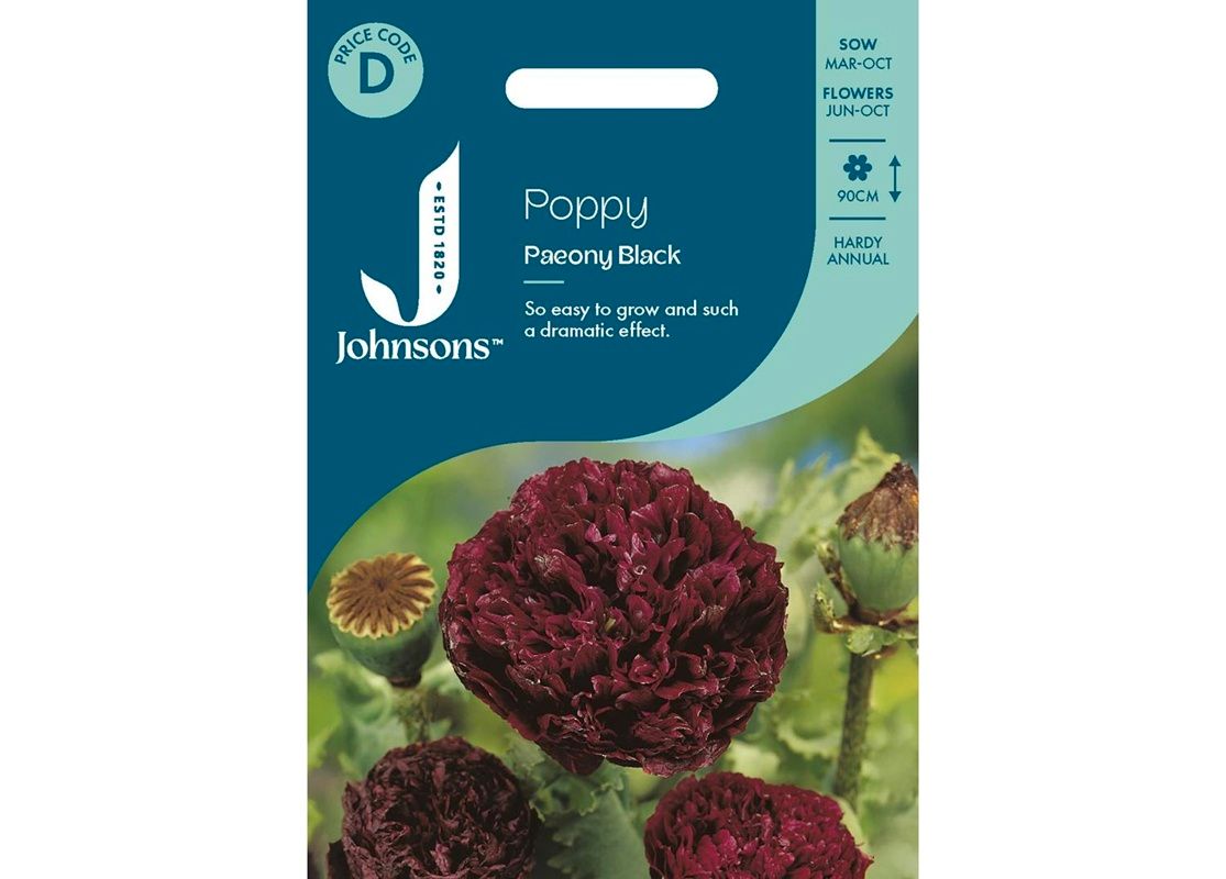 POPPY Paeony Black POPPY Paeony Black