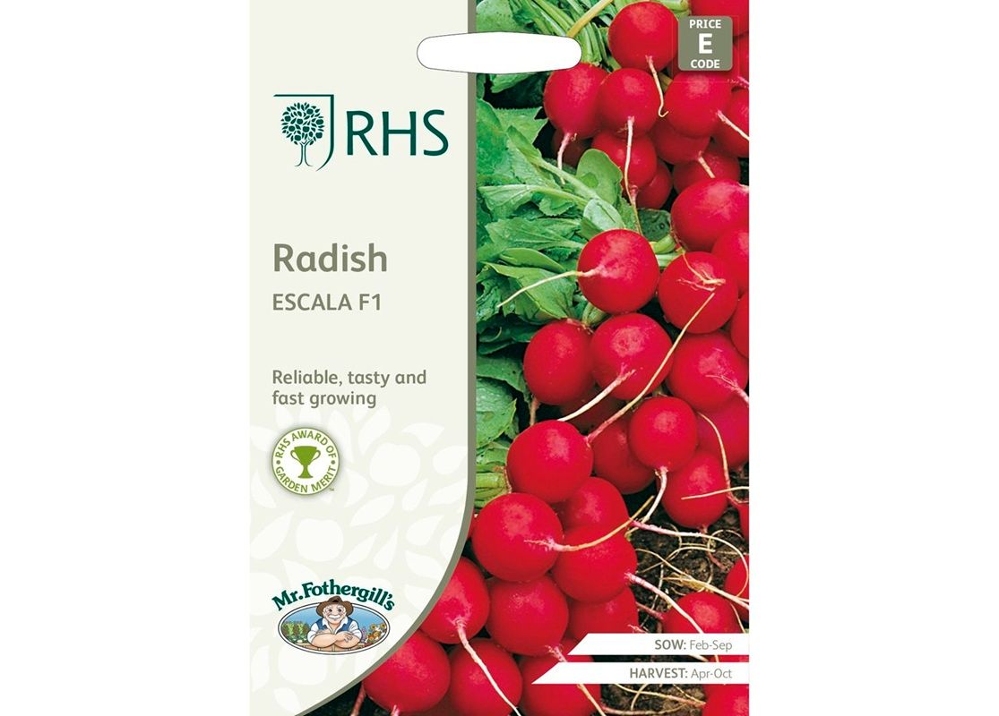 RHS RADISH Escala F1 RHS RADISH Escala F1