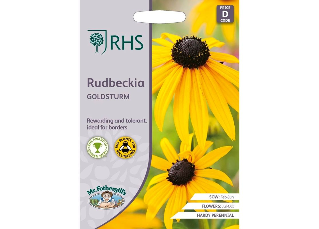 RHS RUDBECKIA Goldsturm RHS RUDBECKIA Goldsturm