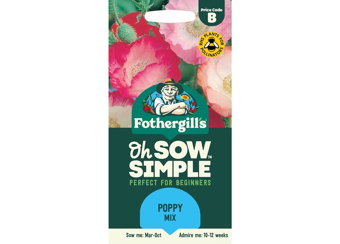 POPPY Shirley Single Mixed