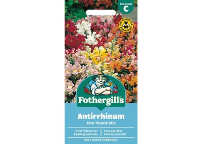ANTIRRHINUM Tom Thumb Mix ANTIRRHINUM Tom Thumb Mix