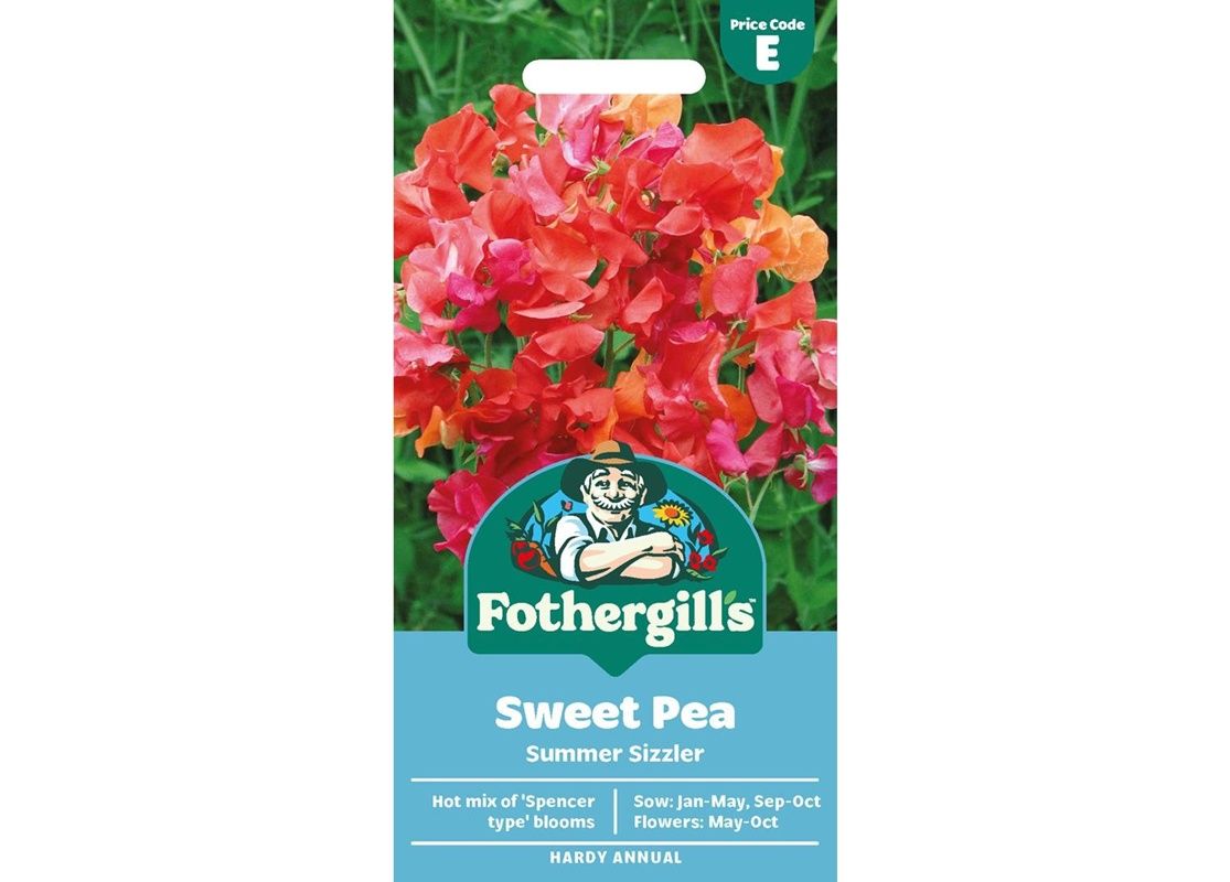 SWEET PEA Summer Sizzler