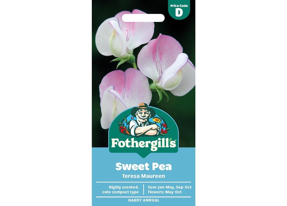 SWEET PEA Teresa Maureen SWEET PEA Teresa Maureen