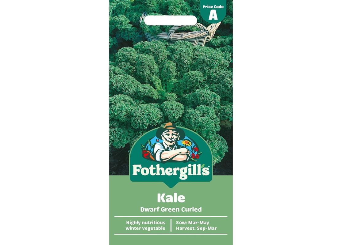 KALE Dwarf Green Curled