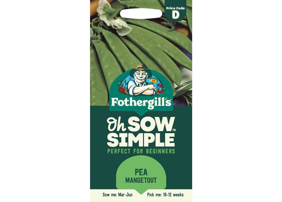 PEA (Mangetout) Sweet Sahara