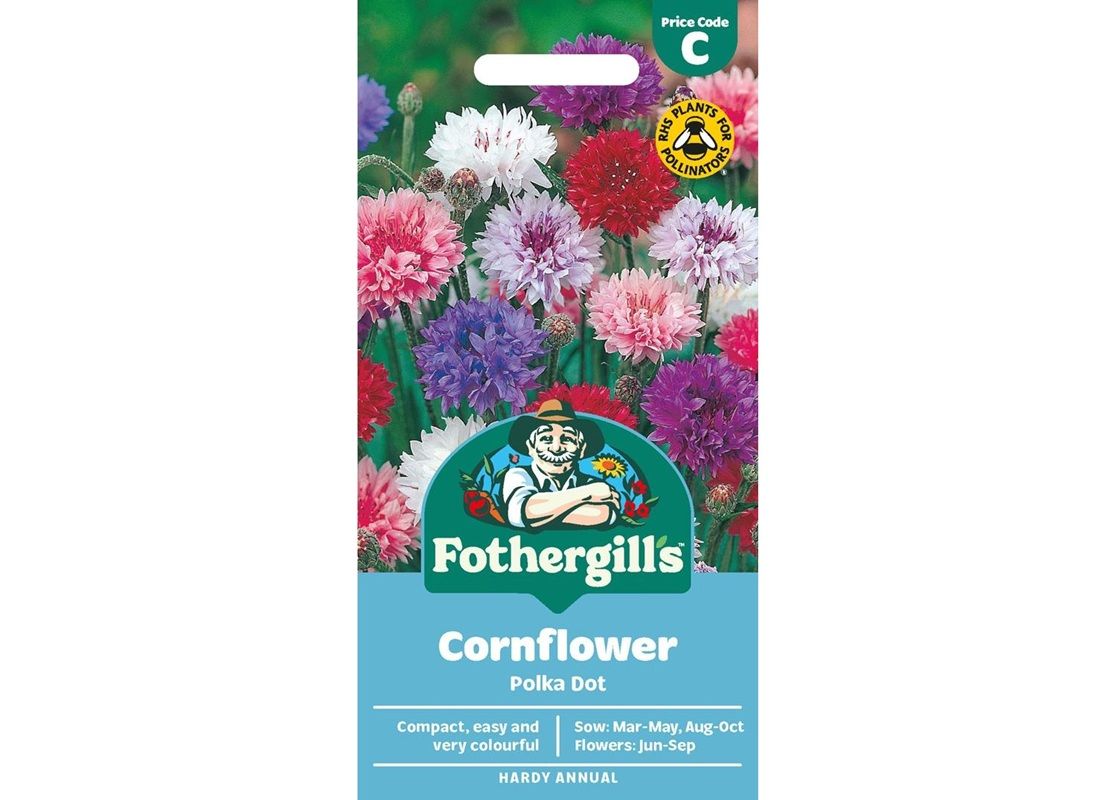 CORNFLOWER Polka Dot CORNFLOWER Polka Dot