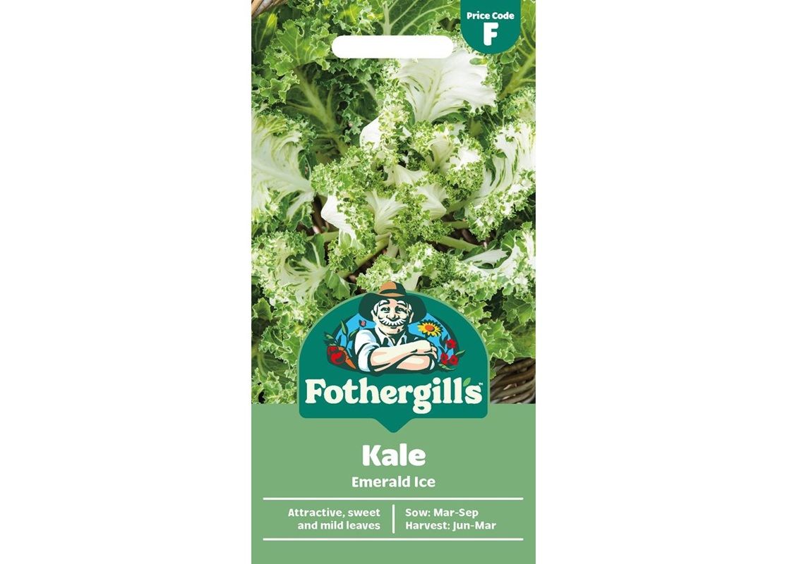 KALE Emerald Ice KALE Emerald Ice