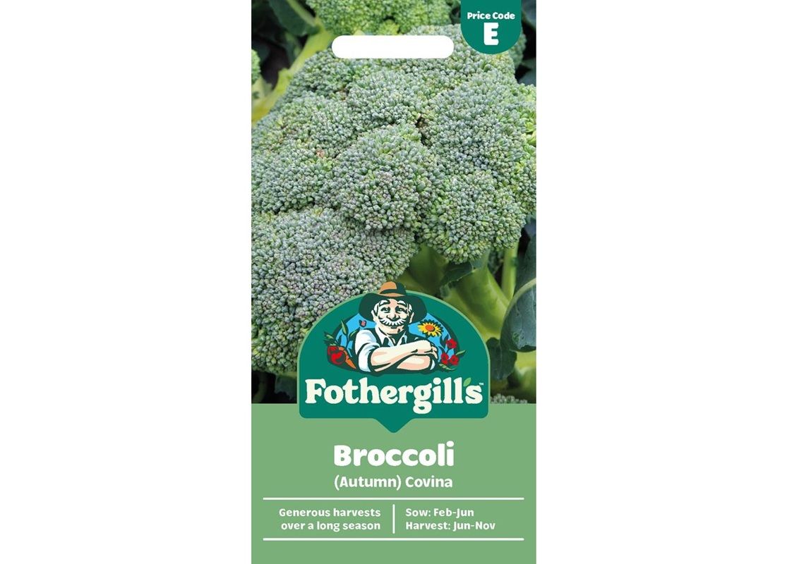 BROCCOLI (Autumn) Covina BROCCOLI (Autumn) Covina