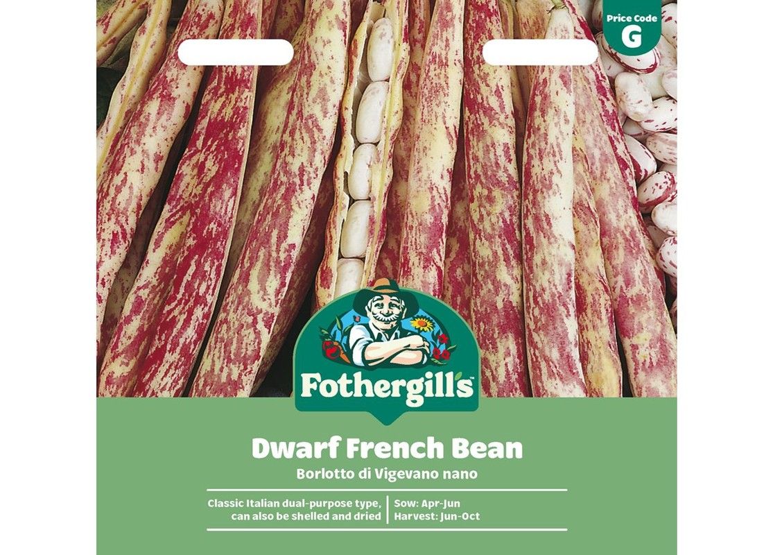 DWARF FRENCH BEAN Borlotto di Vigevano nano