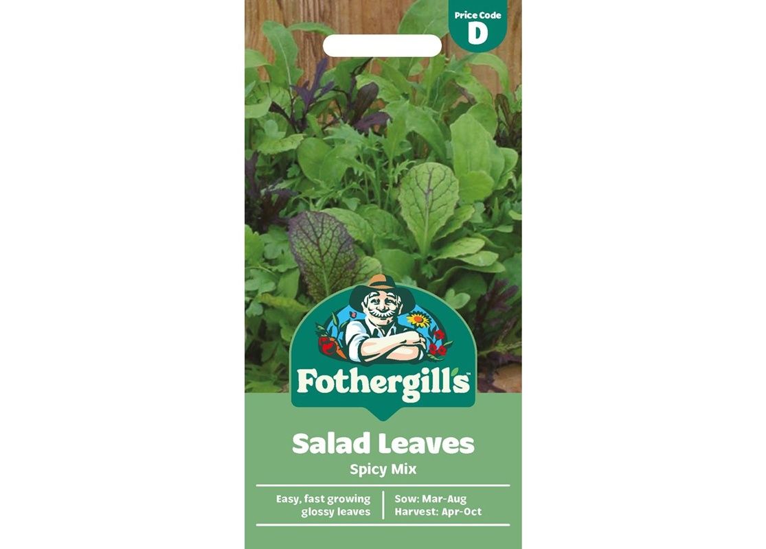 SALAD LEAVES Spicy Mix