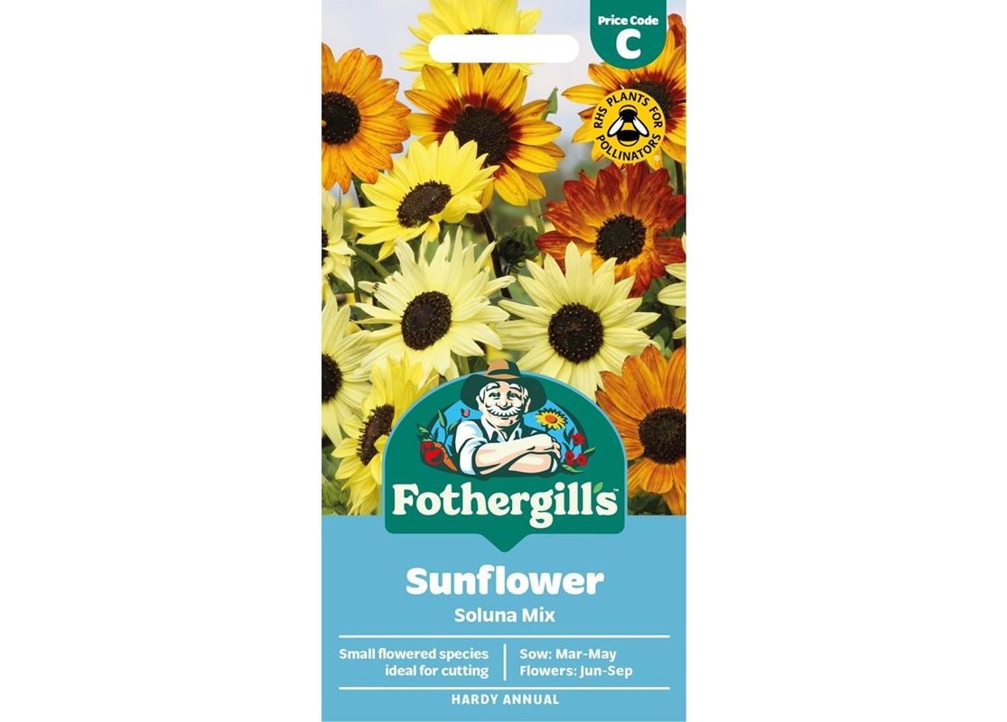 SUNFLOWER Soluna Mix SUNFLOWER Soluna Mix