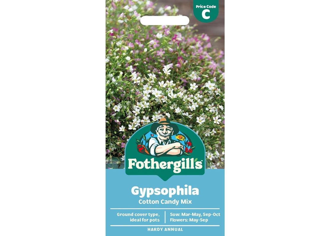 GYPSOPHILA Cotton Candy Mix