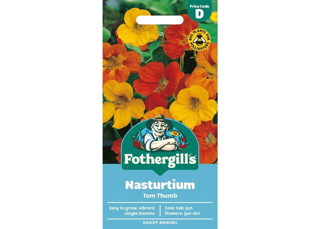 NASTURTIUM Tom Thumb