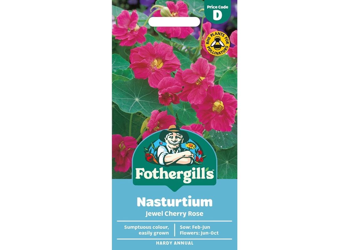 NASTURTIUM Jewel Cherry Rose