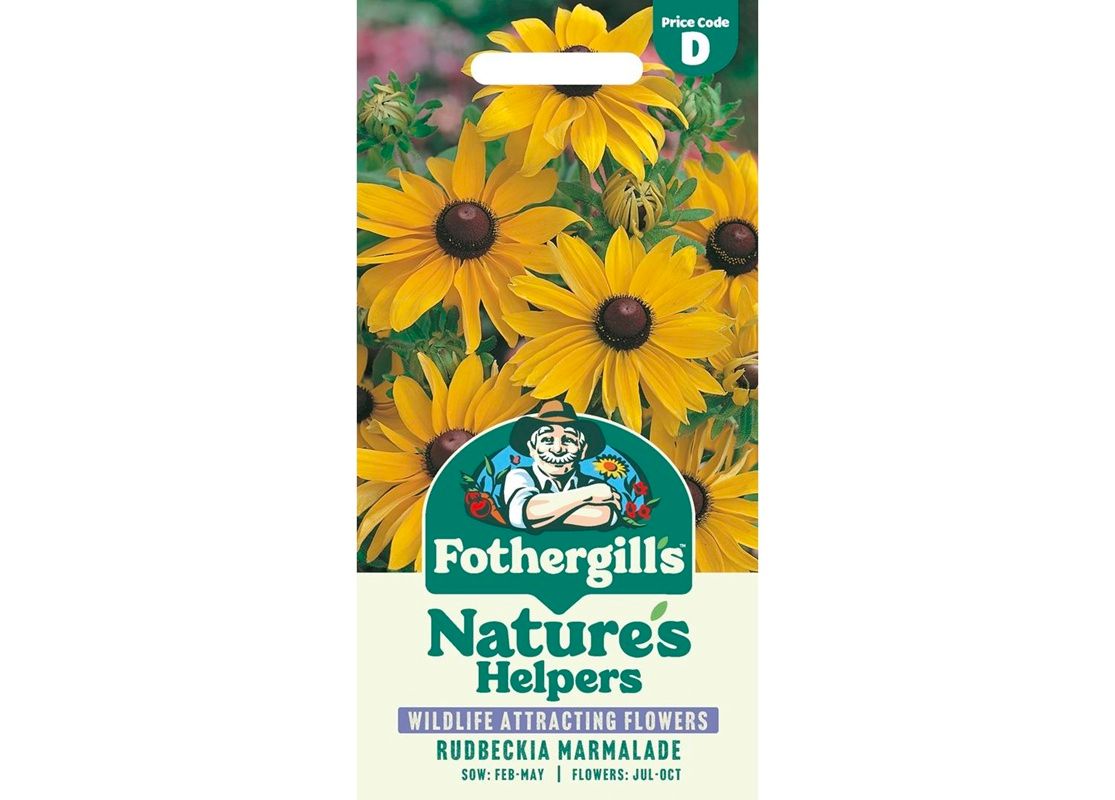 RUDBECKIA Marmalade RUDBECKIA Marmalade