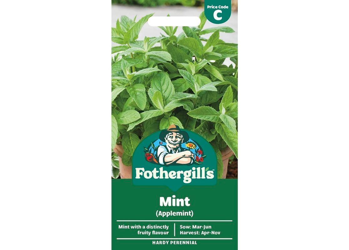 MINT (Applemint) MINT (Applemint)