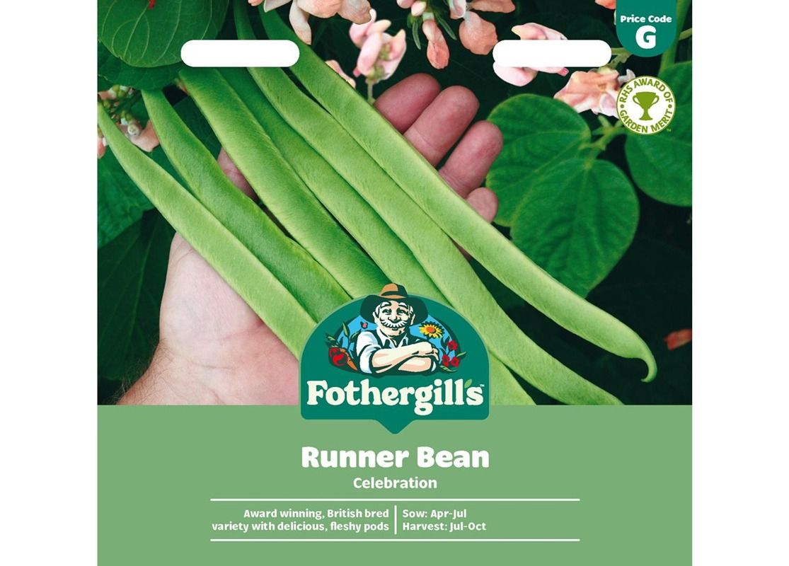 RUNNER BEAN Celebration