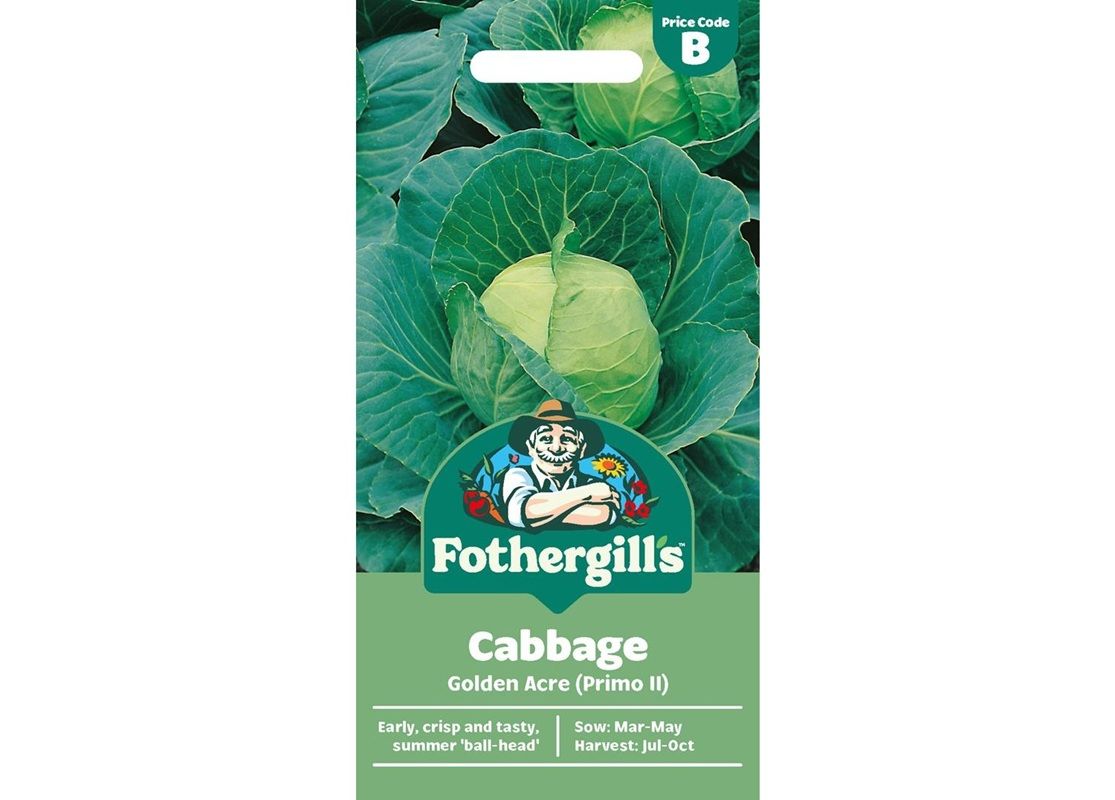 CABBAGE Golden Acre (Primo II)