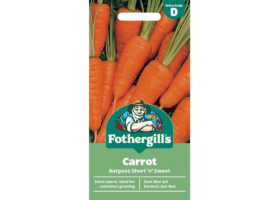 CARROT Burpees Short 'n' Sweet