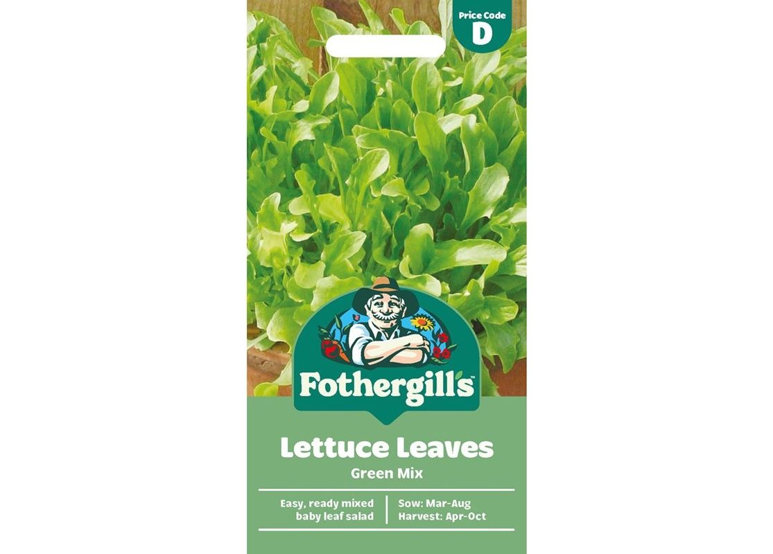 LETTUCE LEAVES Green Mix LETTUCE LEAVES Green Mix
