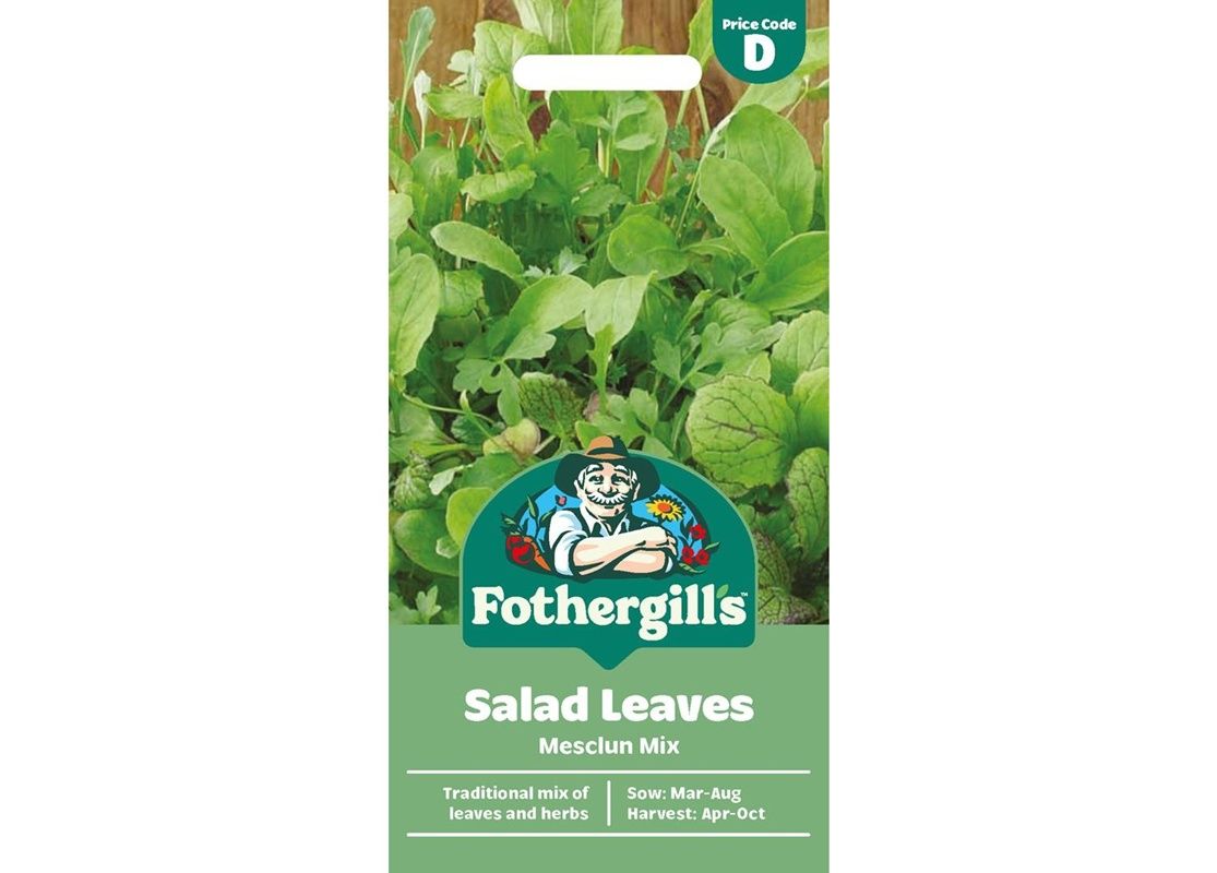 SALAD LEAVES Mesclun Mix