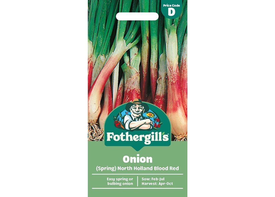 ONION (Spring) North Holland Blood Red ONION (Spring) North Holland Blood Red