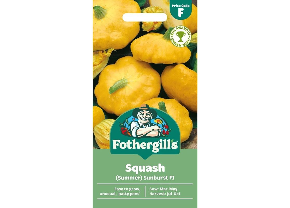 SQUASH (Summer) Sunburst F1