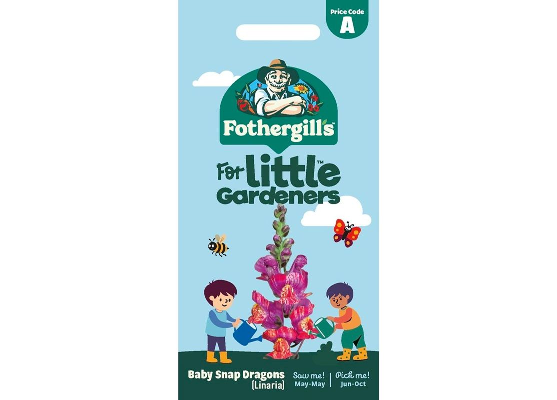 BABY SNAP DRAGONS LINARIA