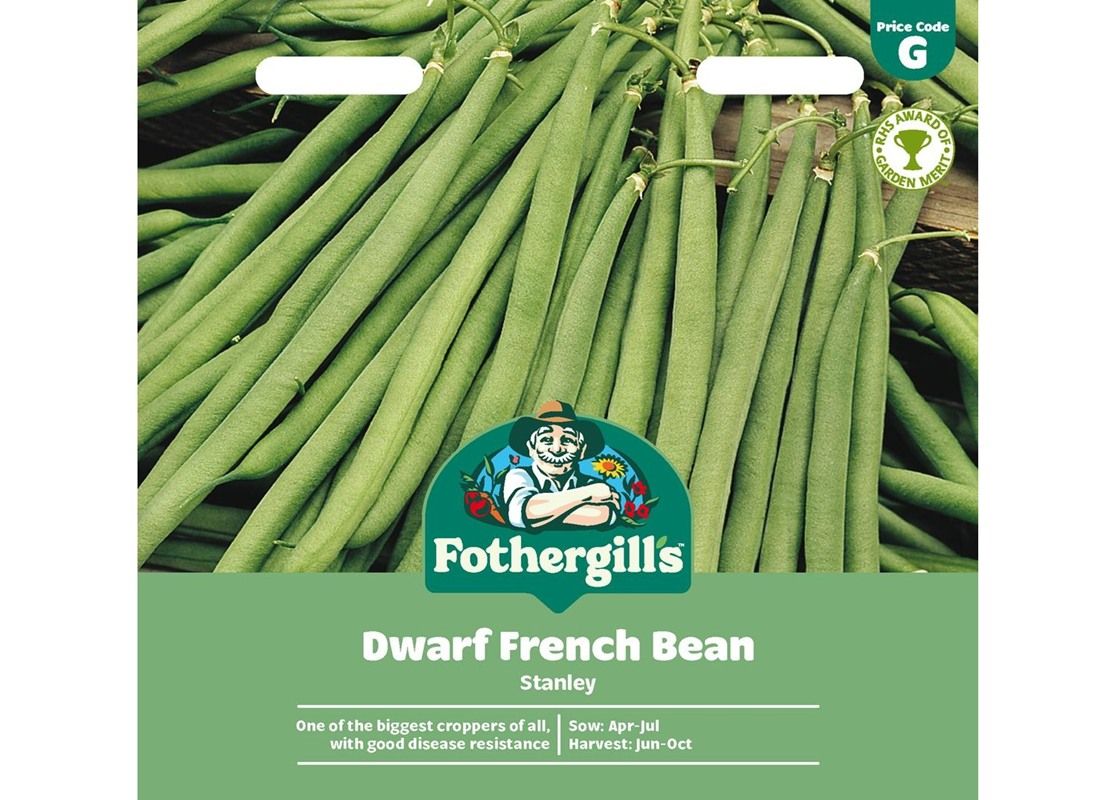 DWARF FRENCH BEAN Stanley