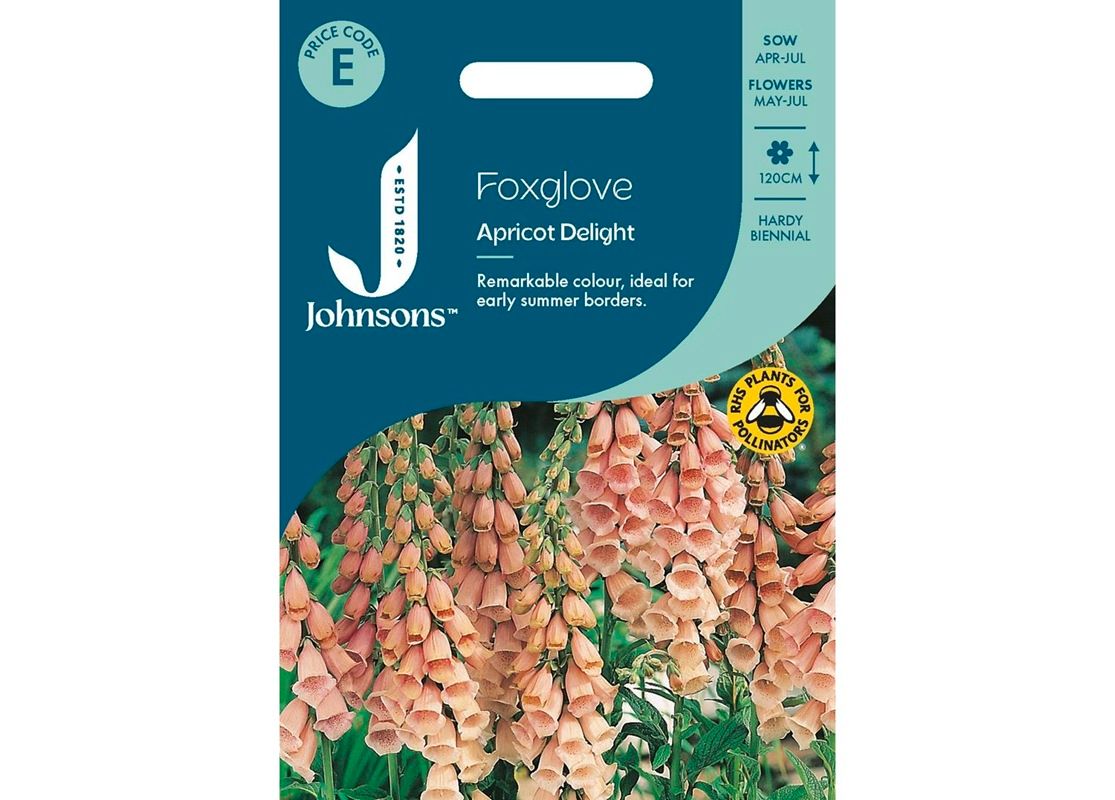 FOXGLOVE Apricot Delight
