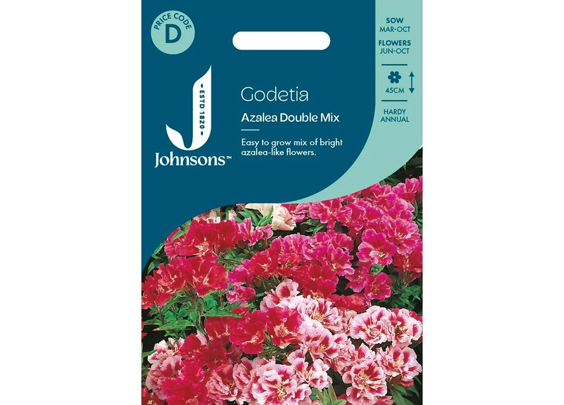 GODETIA Azalea Double Mix GODETIA Azalea Double Mix