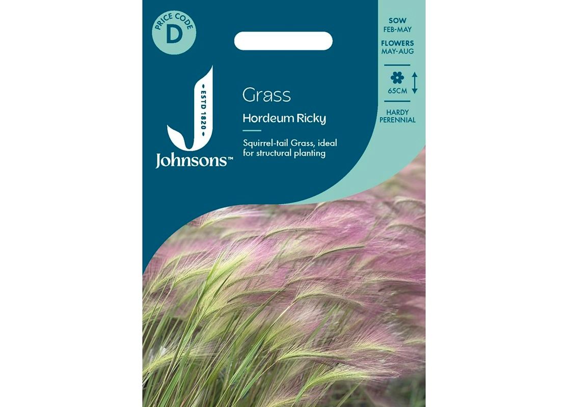 GRASS Hordeum Ricky GRASS Hordeum Ricky