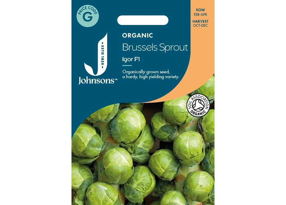 BRUSSELS SPROUT Igor F1 ORG BRUSSELS SPROUT Igor F1 ORG