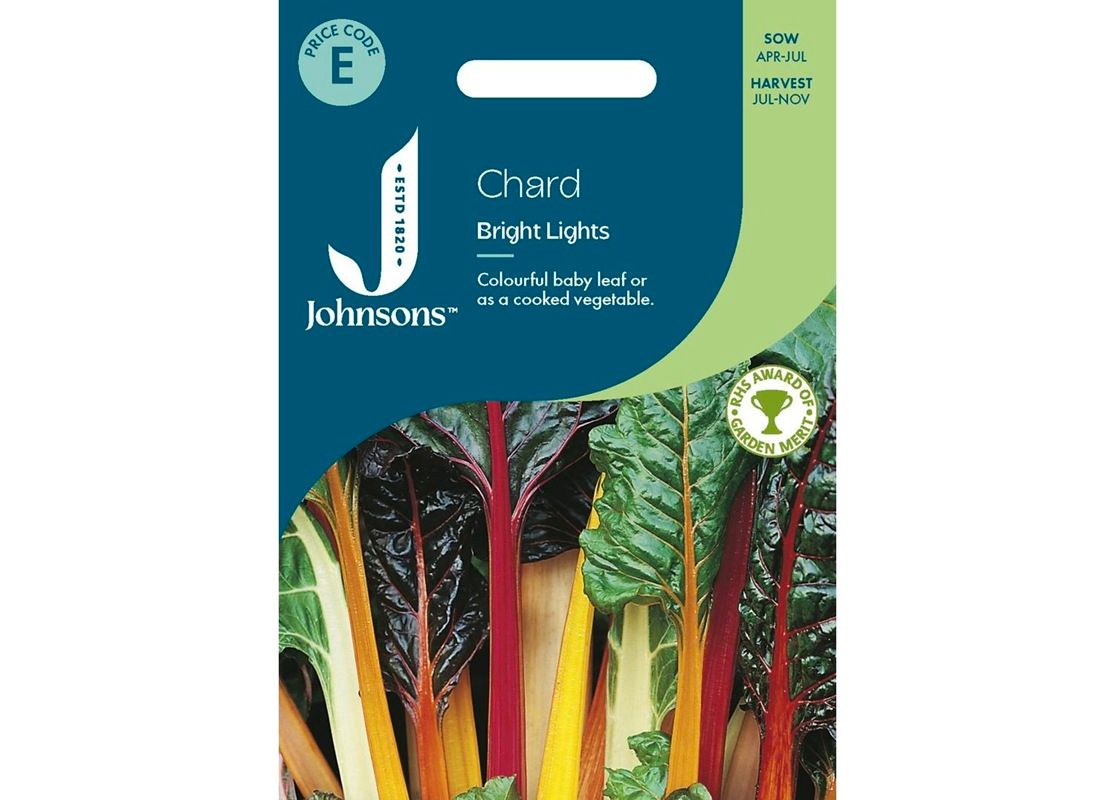 CHARD Bright Lights