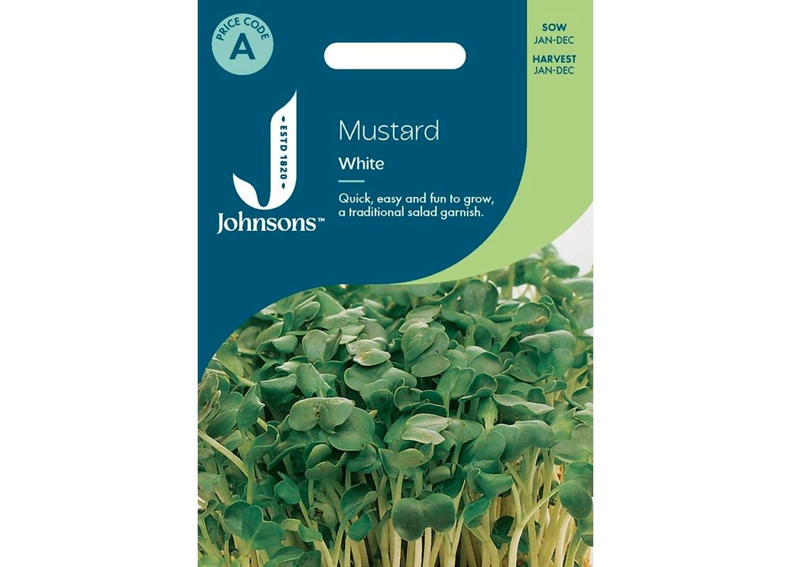 MUSTARD White MUSTARD White