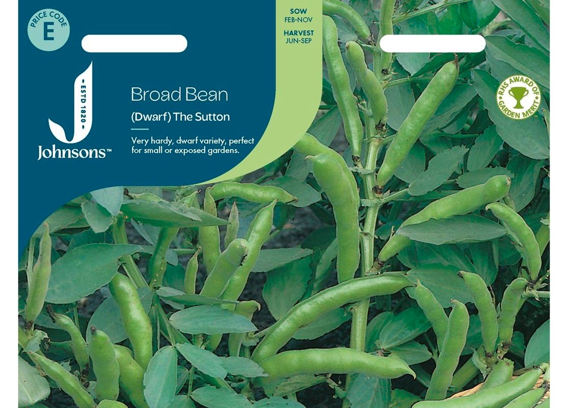 BROAD BEAN (Dwarf) The Sutton