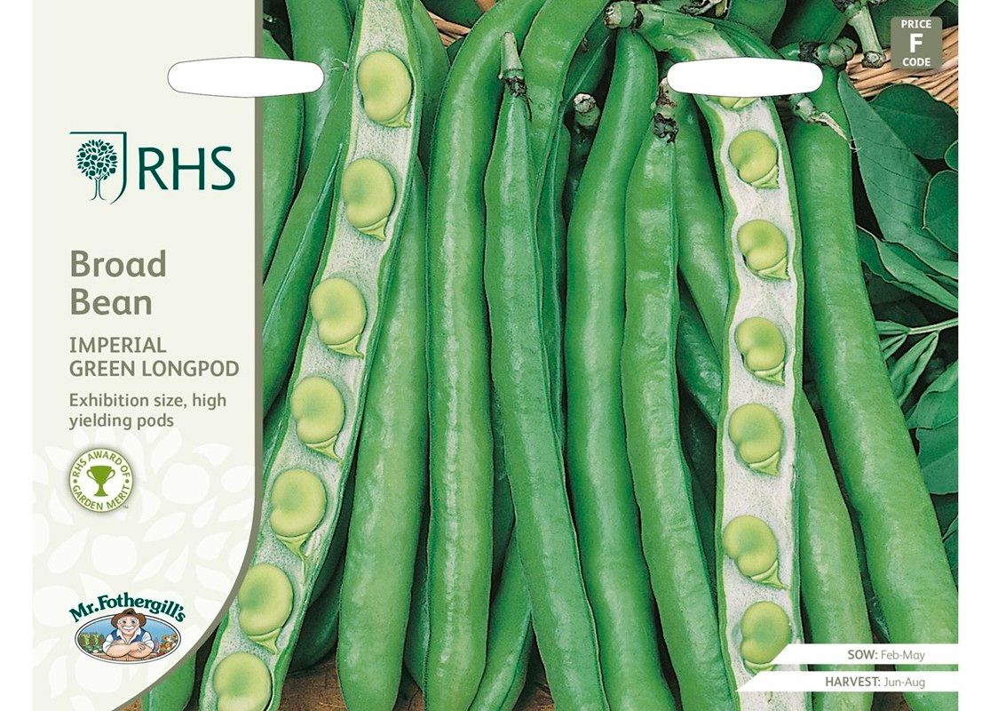 RHS BROAD BEAN Imperial Green Longpod