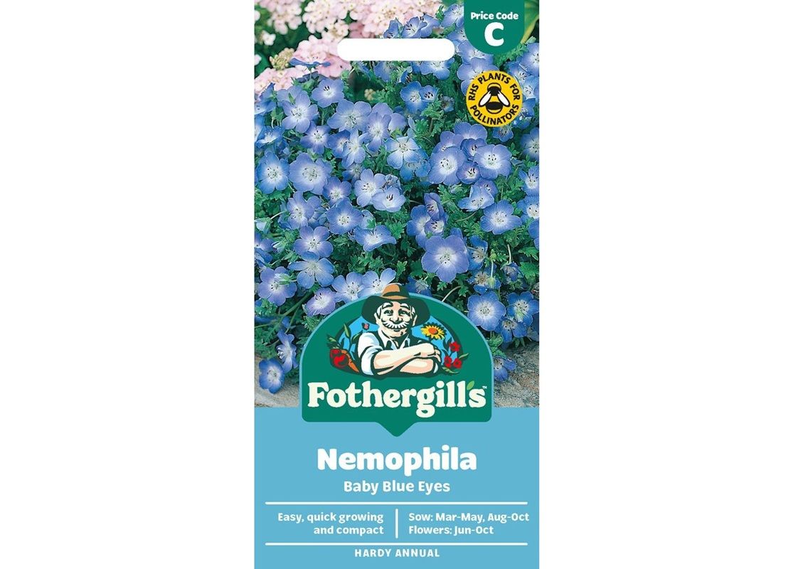 NEMOPHILA Baby Blue Eyes
